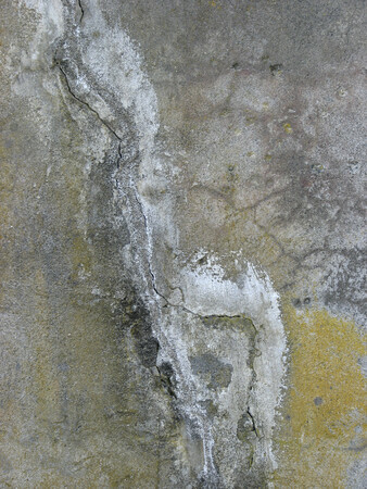 Crack in the Concrete #2