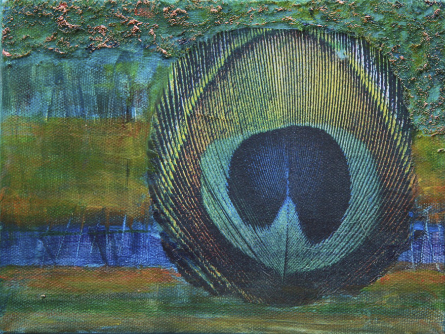 The Eye of the Peacock_6x8